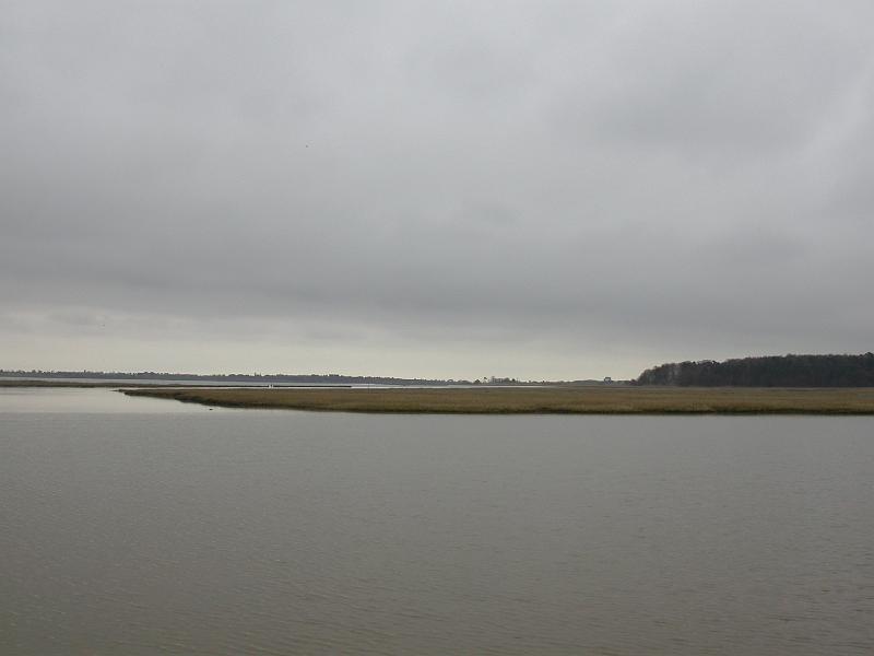Bulcamp Marshes - DSCN3643.JPG